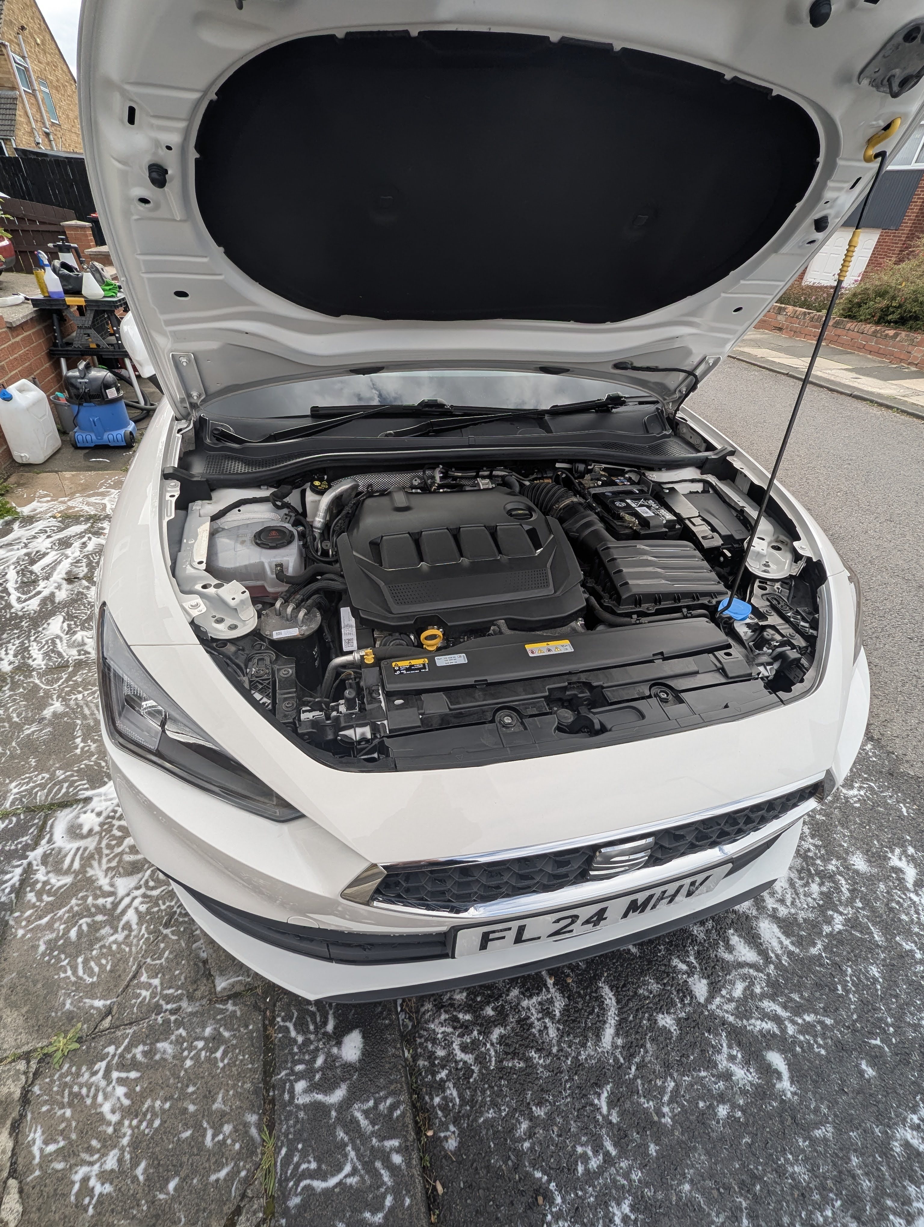 Clean, detailed engine bay